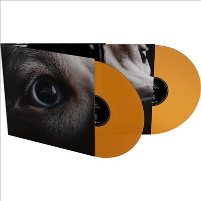 Roger Waters - The Dark Side of the Moon Redux - Import Colored Vinyl 2 LP Record