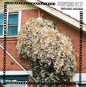 Surprise Chef - Daylight Savings - Import CD