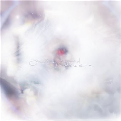 Glixen - She Only Said - Import Fruit Punch Vinyl LP Record Limited Edition