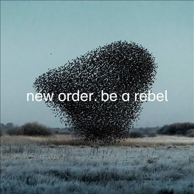 New Order - Be A Rebel - Import Vinyl 12 Inch Record Limited Edition