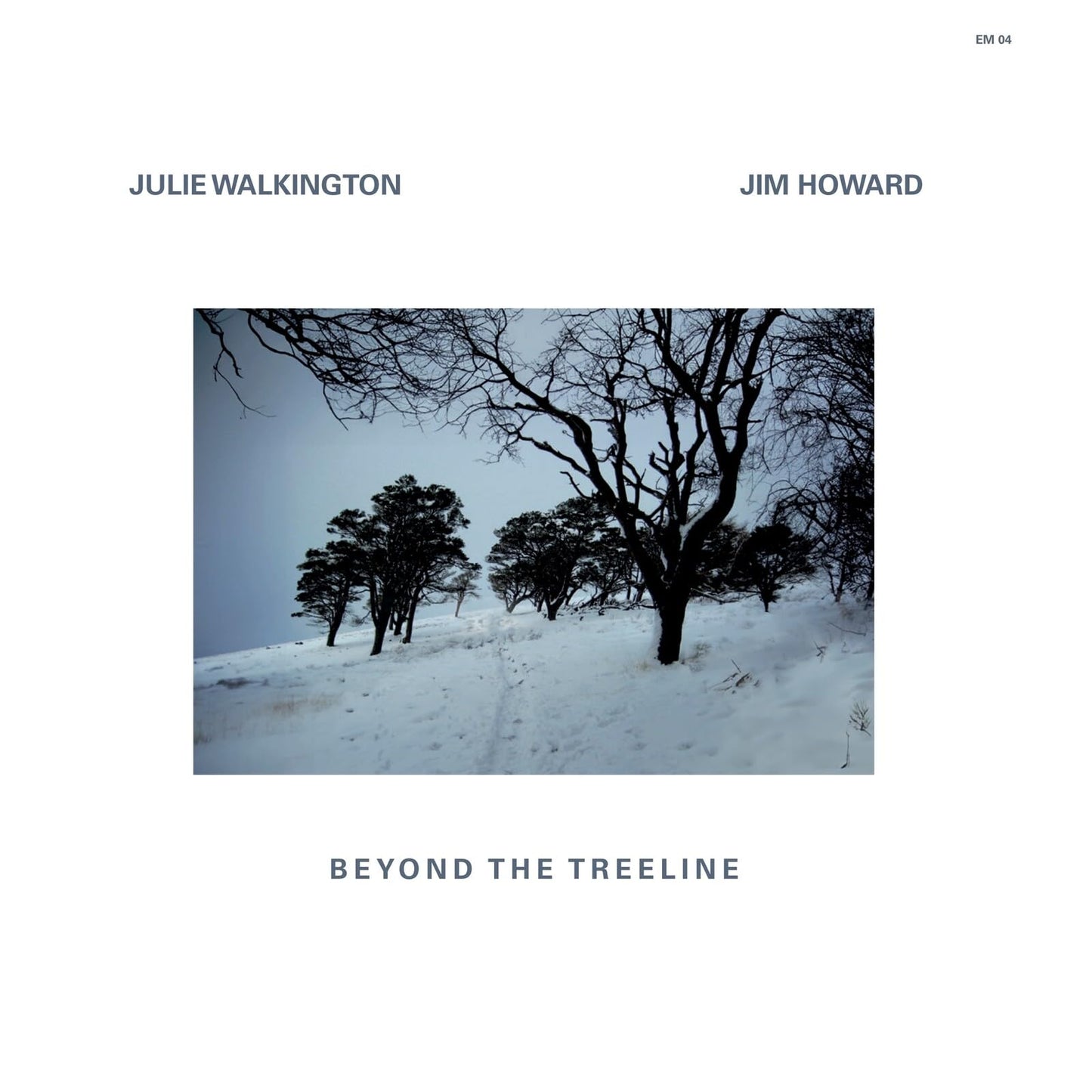 Julie Walkington / Jim Howard - Beyond The Treeline - Import CD