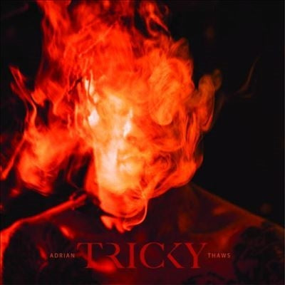 Tricky - Adrian Thaws - Import Orange Vinyl 2 LP Record