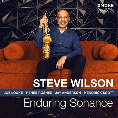 Steve Wilson - Enduring Sonance - Import Vinyl LP Record Limited Edition