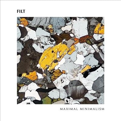 Filt - Maximal Minimalism - Import Vinyl LP Record