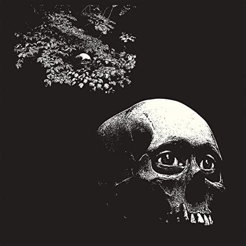 Thee Oh Sees - A Foul Form - Import  CD