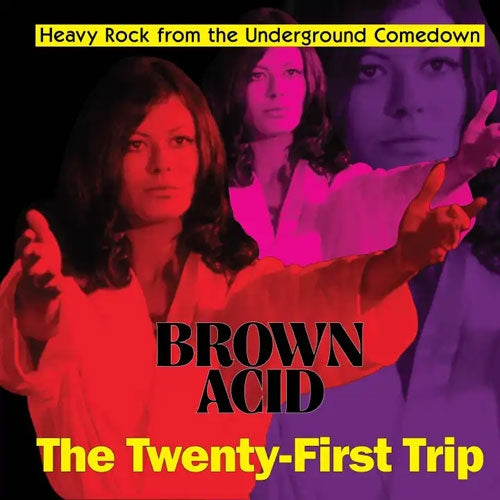 Various Artists - Brown Acid - The Twenty-First Trip - Import LP Record