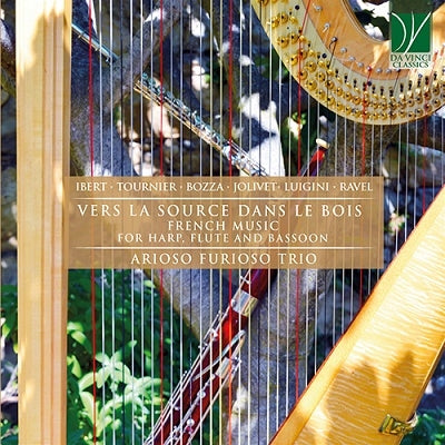Arioso Furioso Trio - Vers La Source Dans Le Bois French Music - Import CD