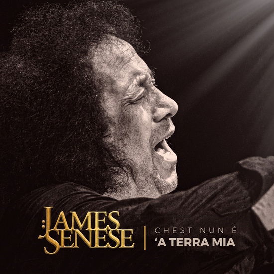 James Senese - Chest Nun E 'A Terra Mia - Import Vinyl LP Record Limited Edition