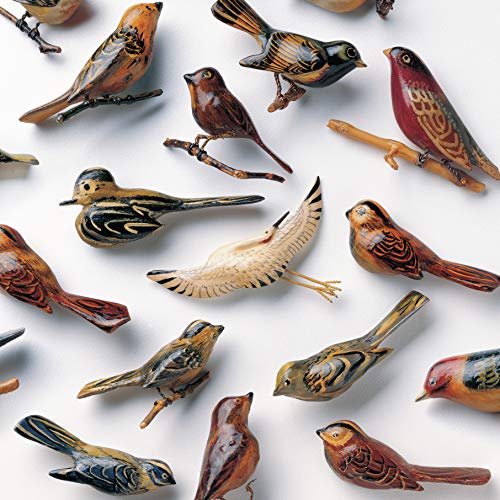 Kishi Bashi - Omoiyari - Import Vinyl LP Record