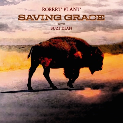 Robert Plant - Saving Grace - Import Fruit Punch Vinyl LP Record