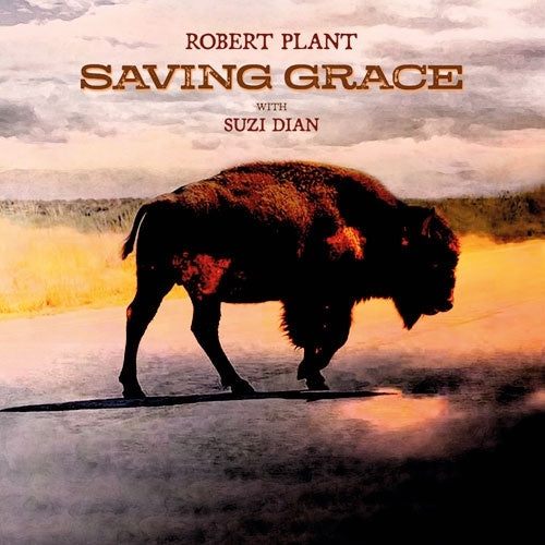 Robert Plant - Saving Grace - Import Vinyl LP Record