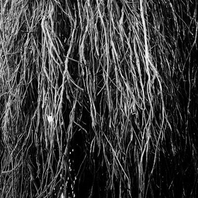 Eraldo Bernocchi、、Igor Cavalera、、Merzbow - Nocturnal Rainforest - Import Vinyl LP Record