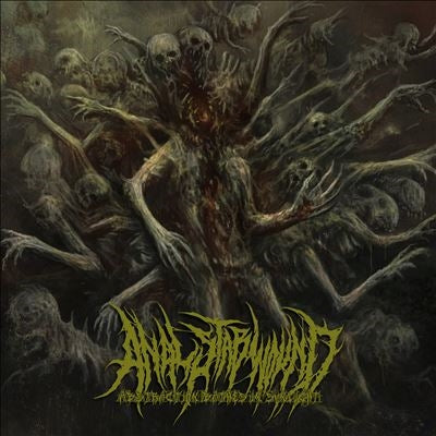 Anal Stabwound - Abstraction Bathes In Sunlight - Import CD