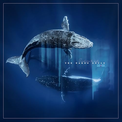 The Naked Souls - Reverb From The Depths - Import Vinyl 2 LP Record