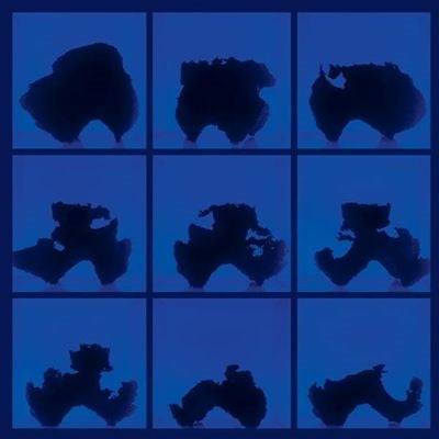 Birth (Defects) - Fictional Days - Import Black & Cobalt Blue Vinyl LP Recurd