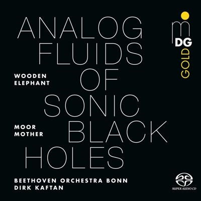 Moor Mother - Analog Fluids of Sonic Black Holes - Import Vinyl LP Record