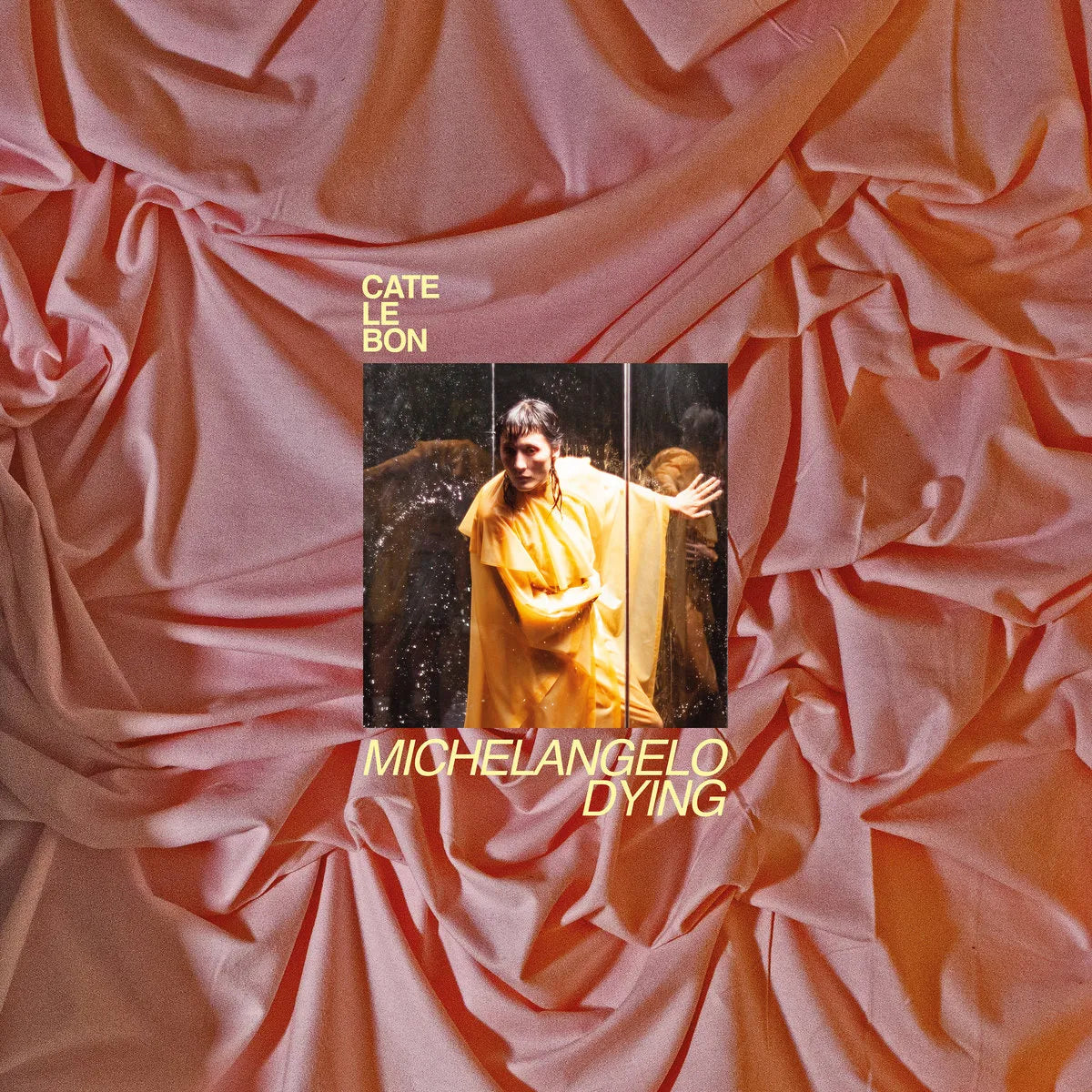 Cate Le Bon - Michelangelo Dying - Import CD