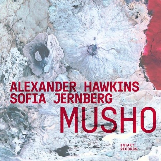 Alexander Hawkins 、 Sofia Jernberg - Musho - Import CD