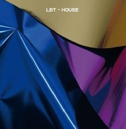 LBT - House - Import LP Record