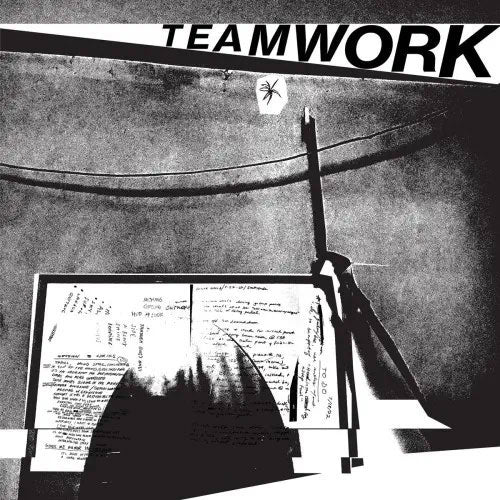 Team Work - Somebody's Gotta Do It - Import Vinyl LP Record