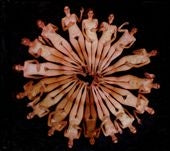 Alvarius B. - Baroque Primitiva - Import CD