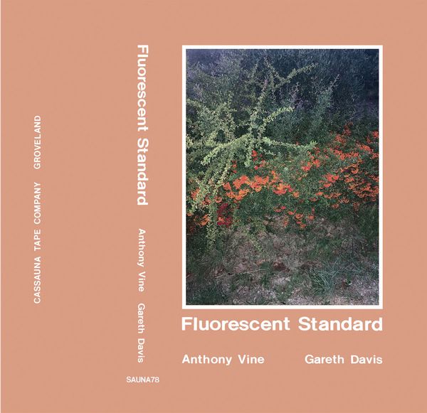 Anthony Vine & Gareth Davis - Flourescent Standard - Import Cassette Tape