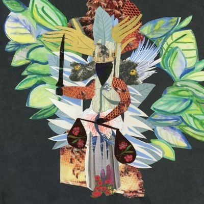 White Gourd - (To Walk In) Justice (Calls For) Strength - Import Vinyl LP Record