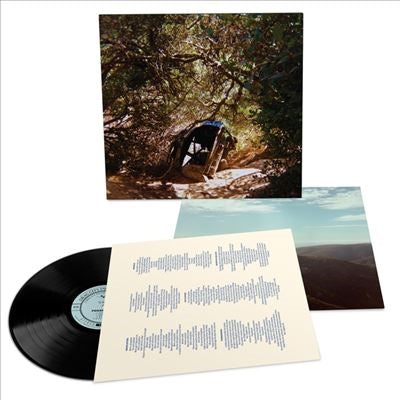 Ty Segall - Possession - Import Vinyl LP Record