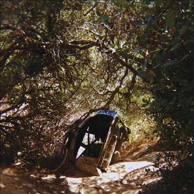 Ty Segall  -  Possession  -  Import CD