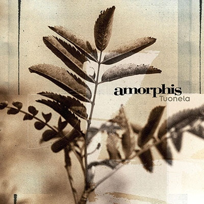 Amorphis - Tuonela＜Colored Vinyl＞ - Import LP Record