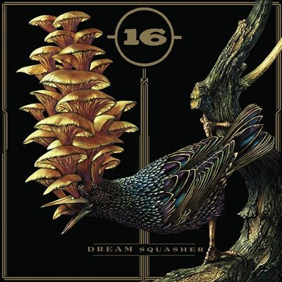 16 - Dream Squasher - Import CD