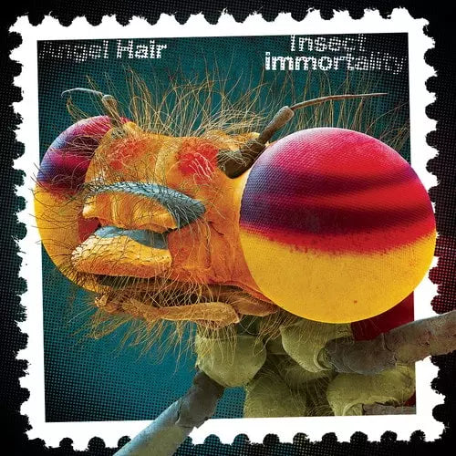 Angel Hair - Insect Immortality - Import Vinyl LP Record
