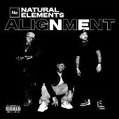 Natural Elements - Alignment - Import 2 LP Record