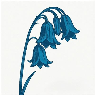 The Bluebells - This Is The Bluebells - Import CD
