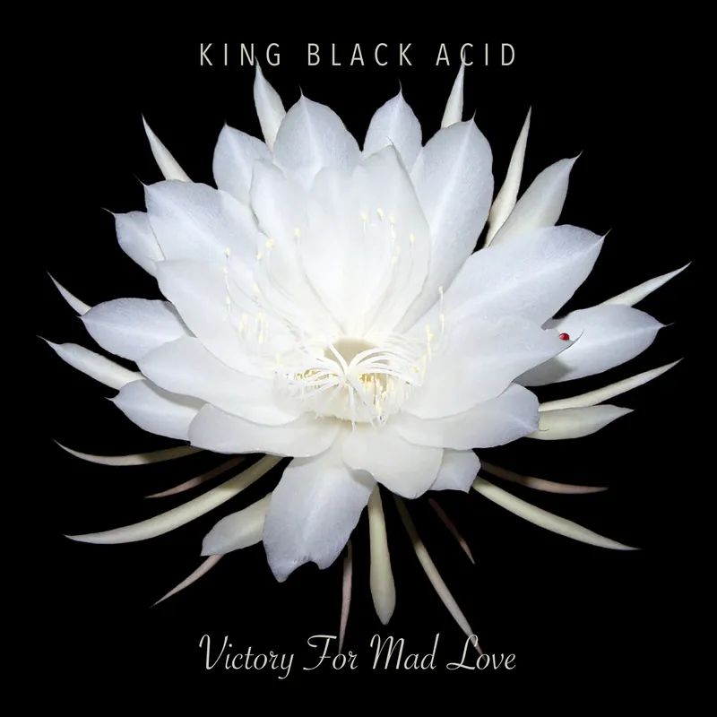 King Black Acid - Victory For Mad Love - Import Vinyl LP Record Limited Edition