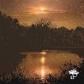 Planes Mistaken For Stars - Do You Still Love Me? - Import CD