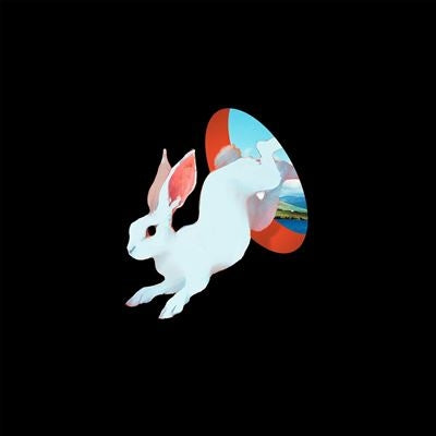 Ganser - Animal Hospital - Import Vinyl LP Record