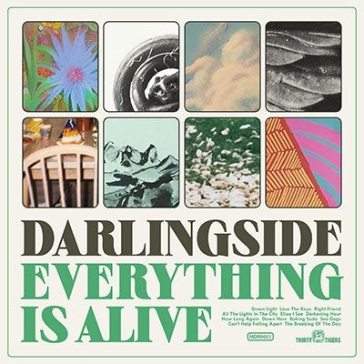 Darlingside - Everything Is Alive - Import CD