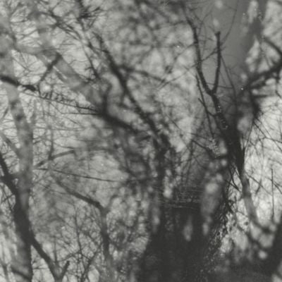 Grouper - Way Their Crept - Import Vinyl LP Record