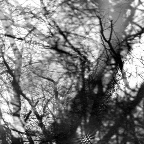Grouper - Way Their Crept - Import CD