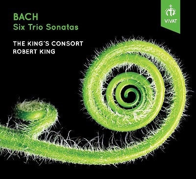 Bach (1685-1750) - (Chamber)Trio Sonatas BWV 525-530 : Robert King / The King's Consort - Import CD