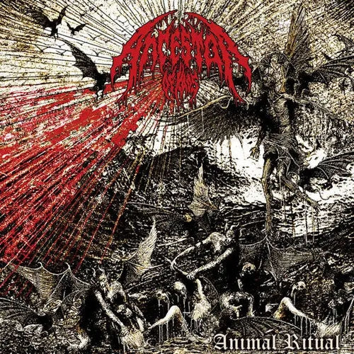Ancestor of Kaos - Animal Ritual - Import CD