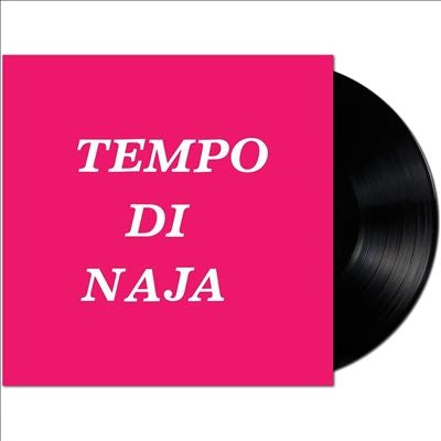 Remigio Ducros - Tempo Di Naja - Import LP Record