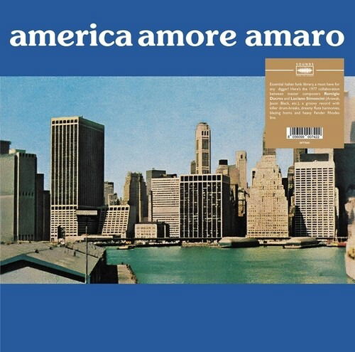 Remigio Du Cros & Luciano Simoncini - America Amore Amaro - Import Vinyl LP Record