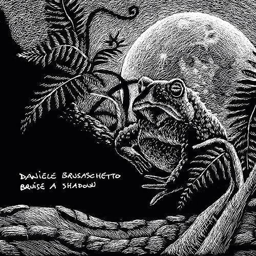 Daniele Brusaschetto - Bruise A Shadow - Import CD