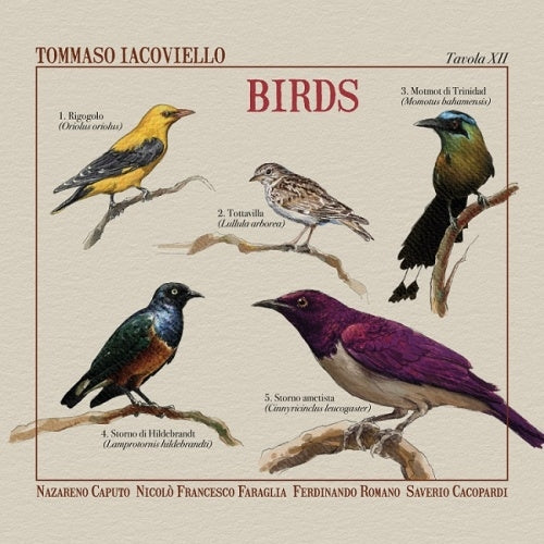 Tommaso Iacoviello - Birds - Import CD