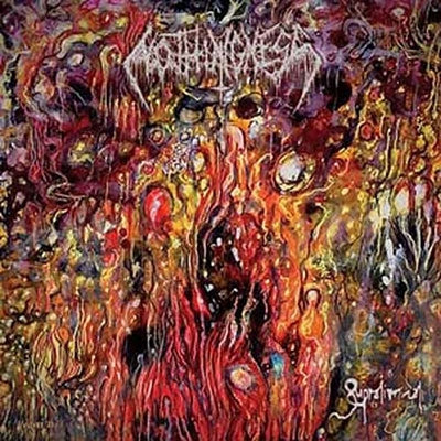 Nothingness - Supraliminal - Import CD
