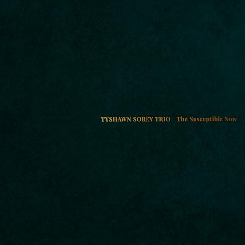 Tyshawn Sorey - Susceptible Now - Import CD