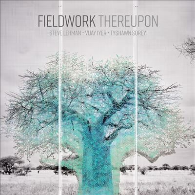 Fieldwork - Thereupon - Import Vinyl LP Record
