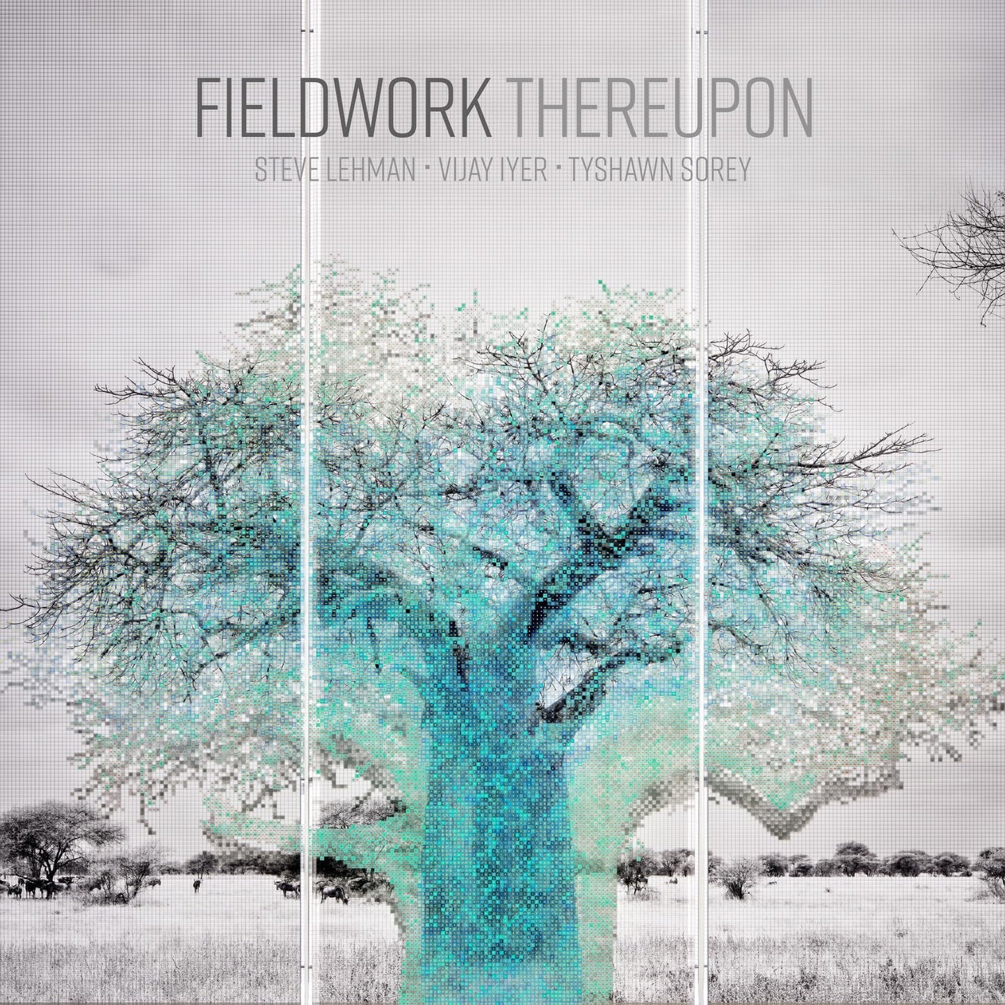 Fieldwork - Thereupon - Import CD